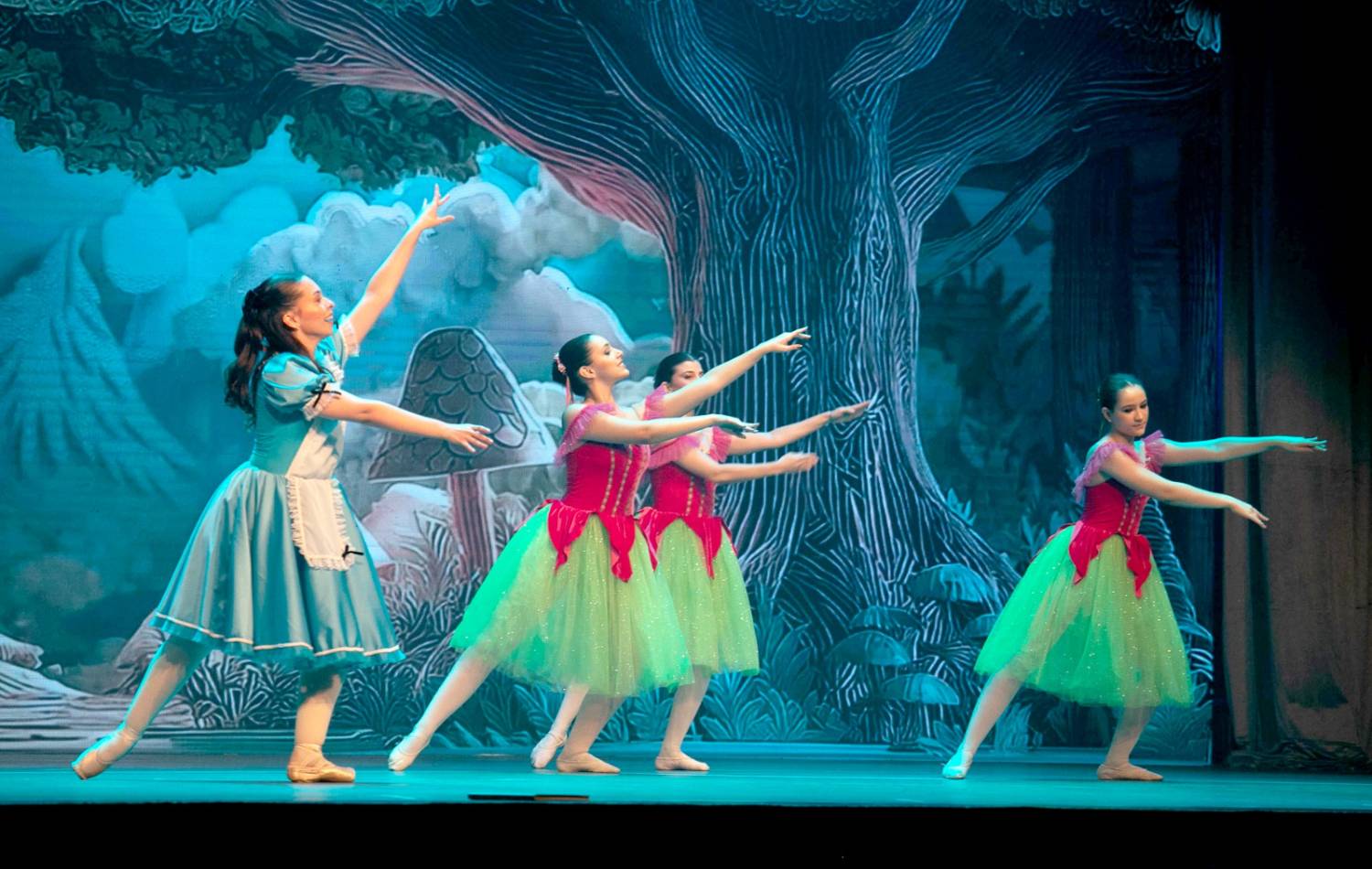 Alice no País das Maravilhas / 3ª Noite