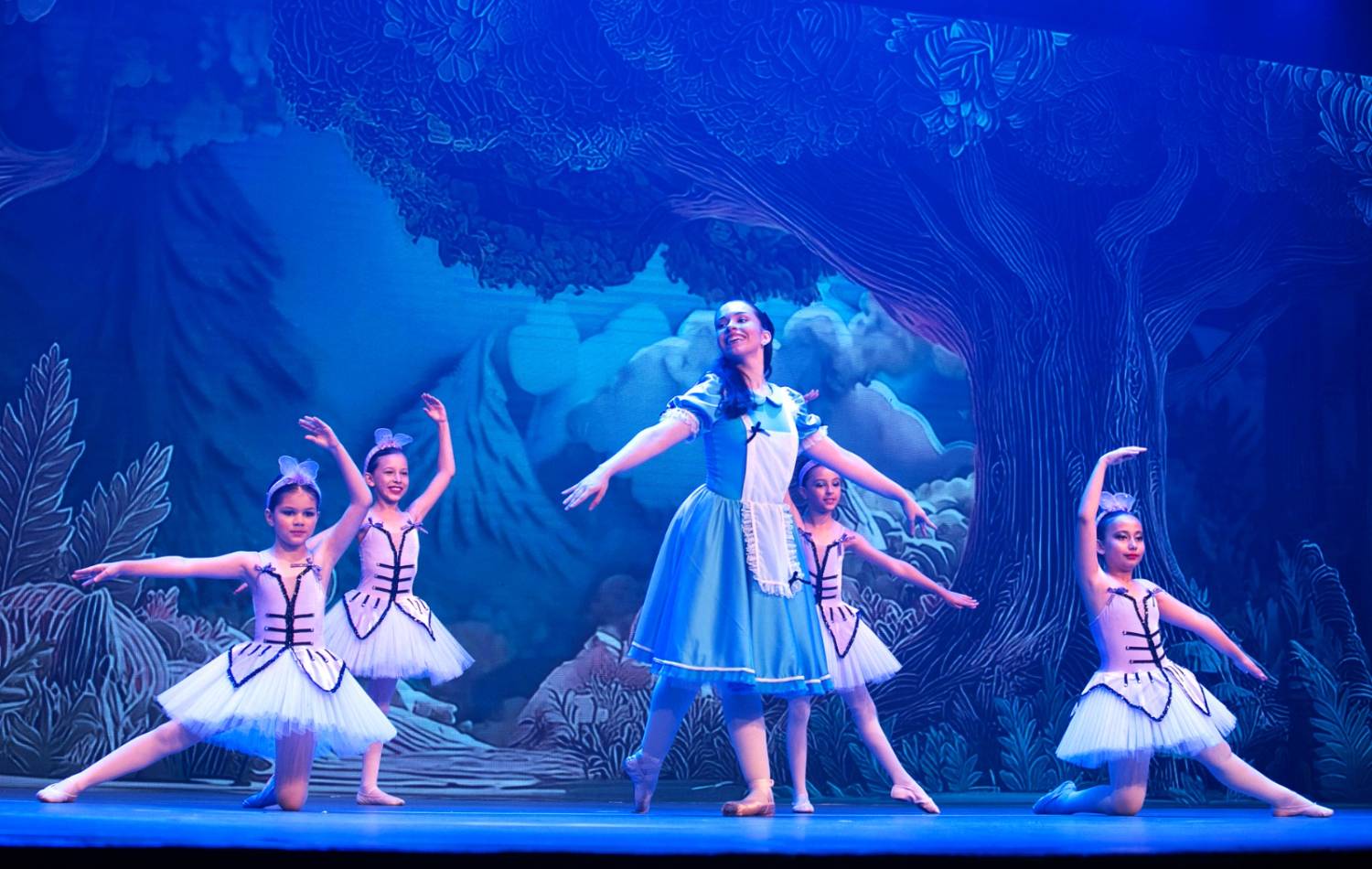 Alice no País das Maravilhas / 3ª Noite