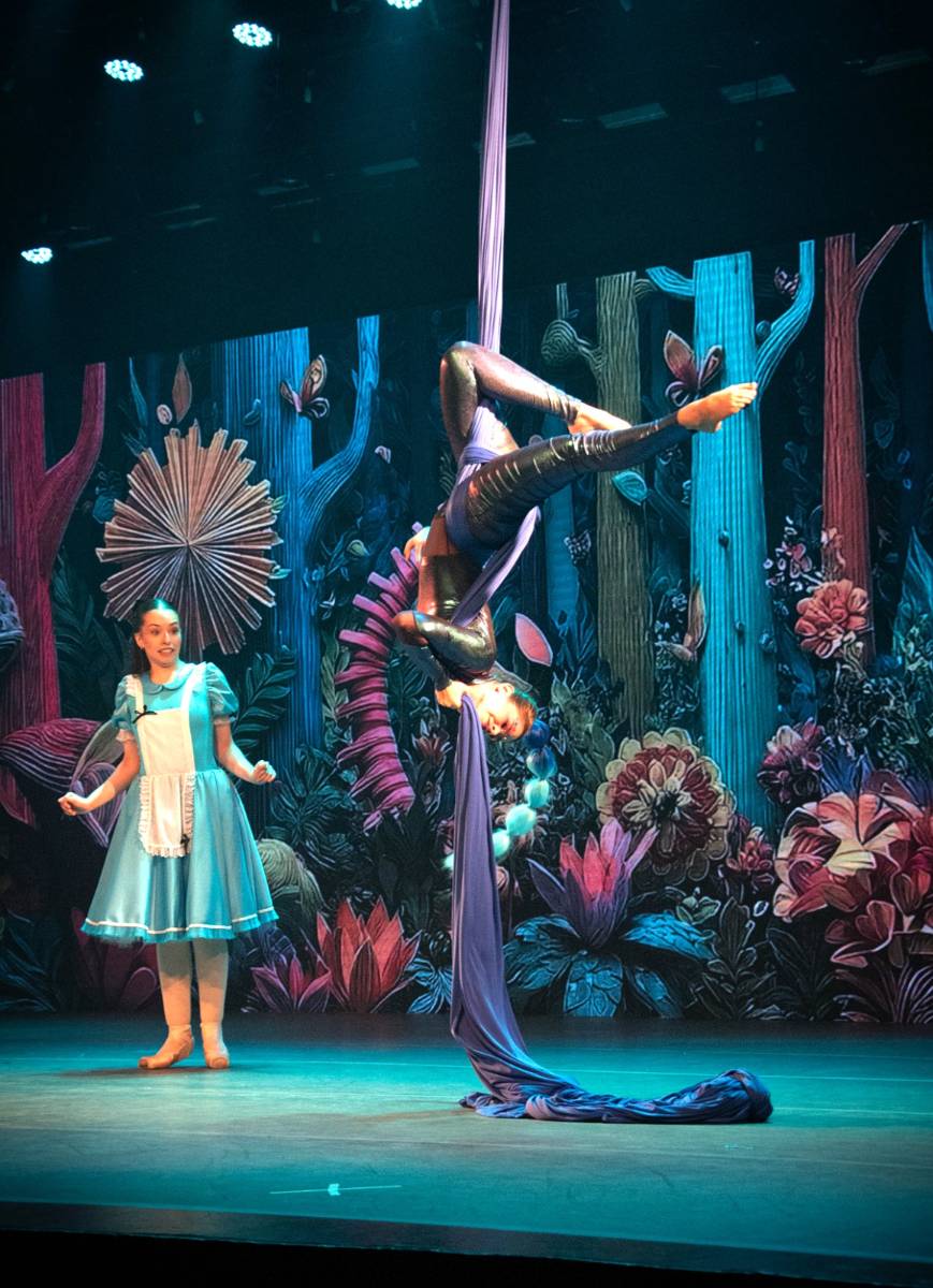 Alice no País das Maravilhas / 3ª Noite