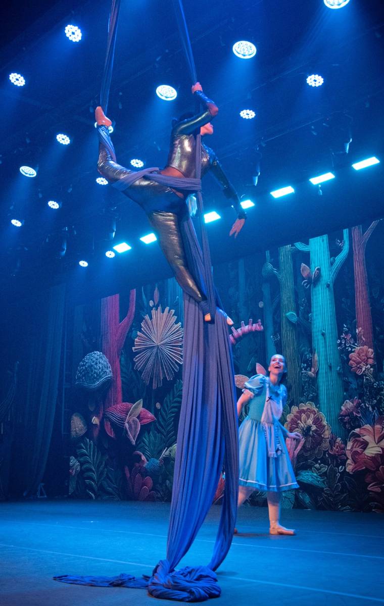 Alice no País das Maravilhas / 3ª Noite