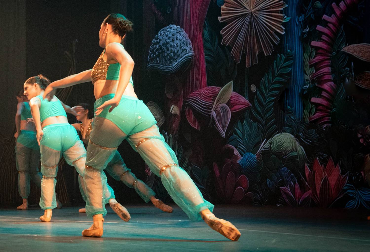 Alice no País das Maravilhas / 3ª Noite