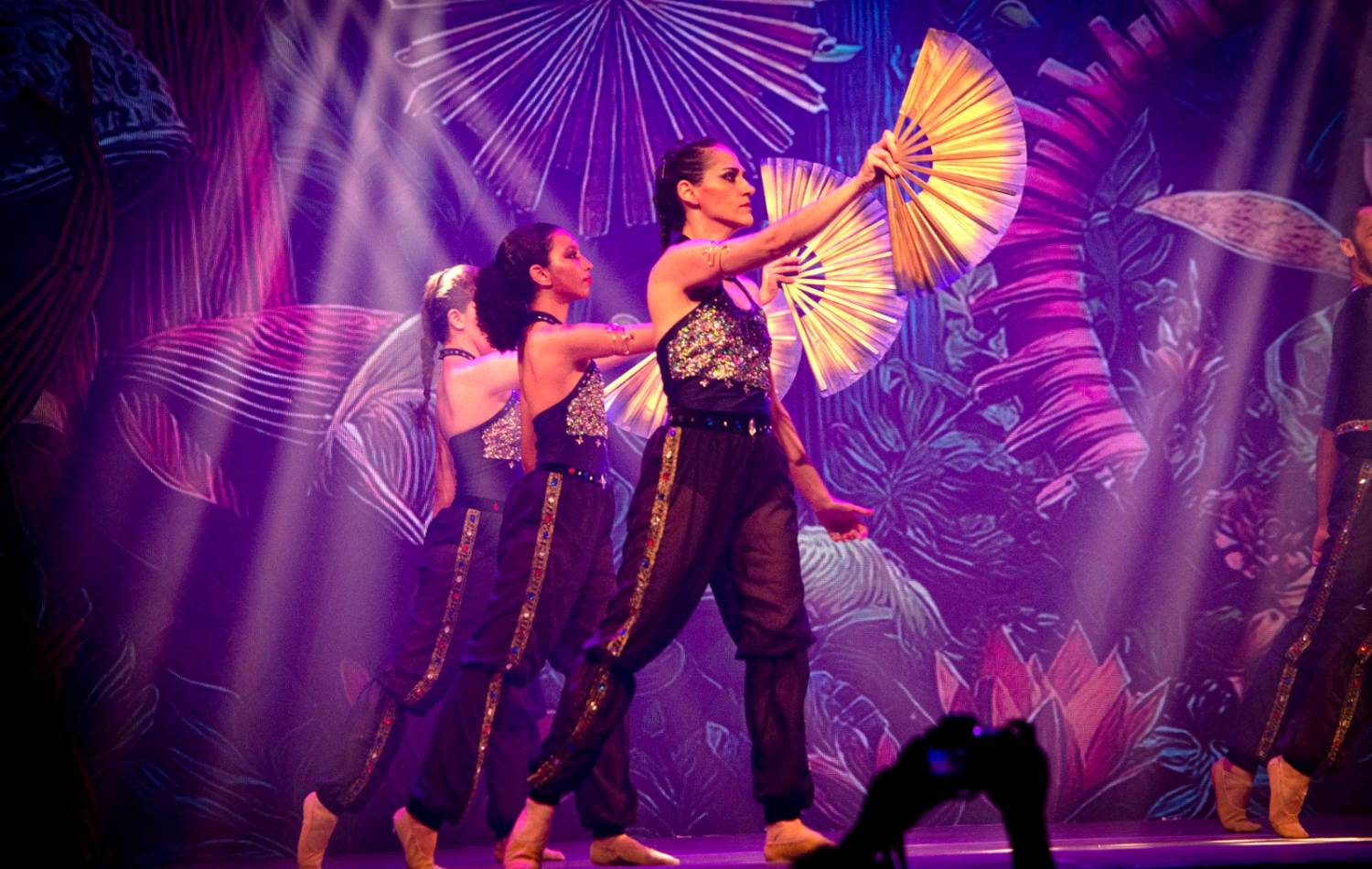 Alice no País das Maravilhas / 3ª Noite