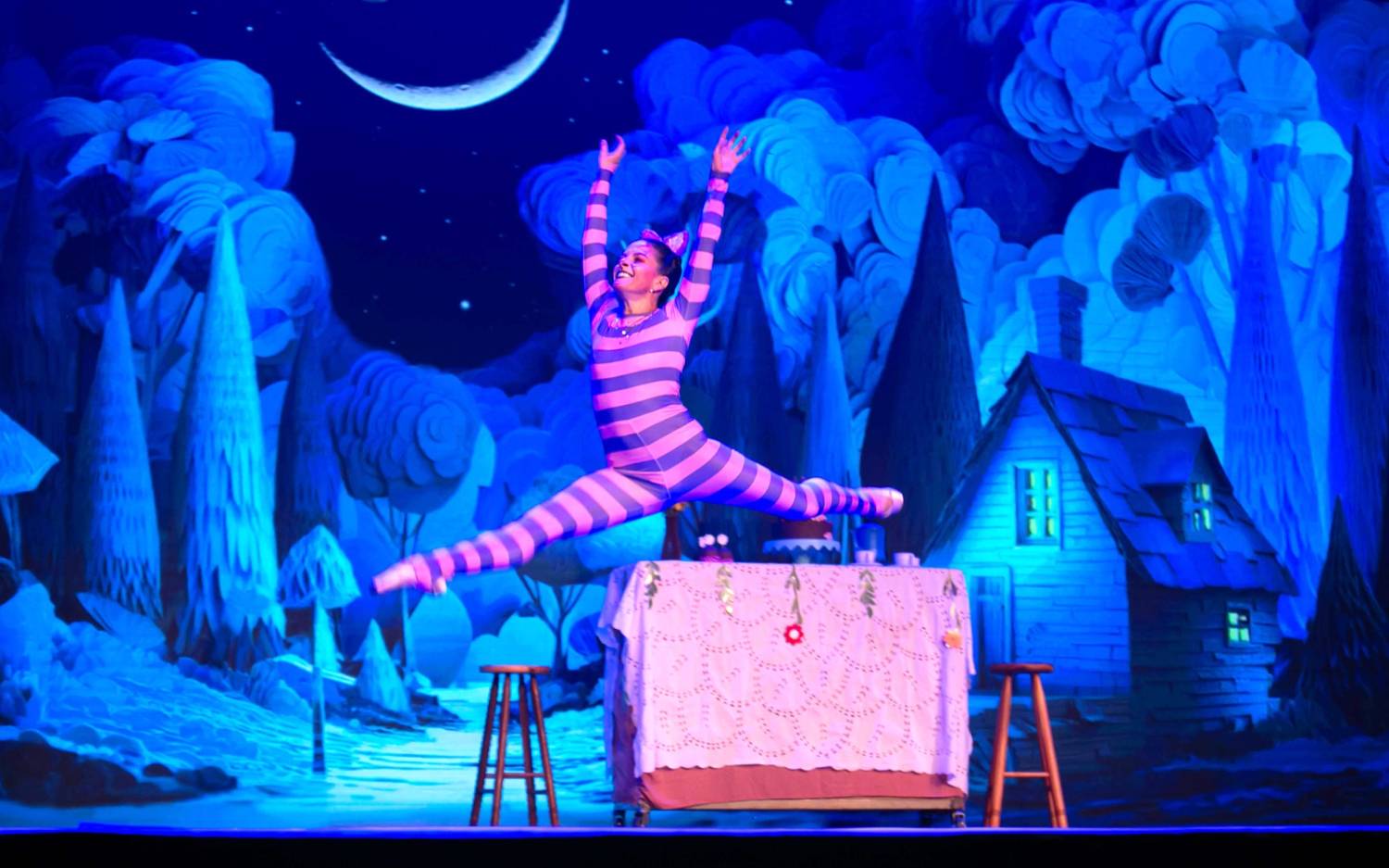 Alice no País das Maravilhas / 3ª Noite