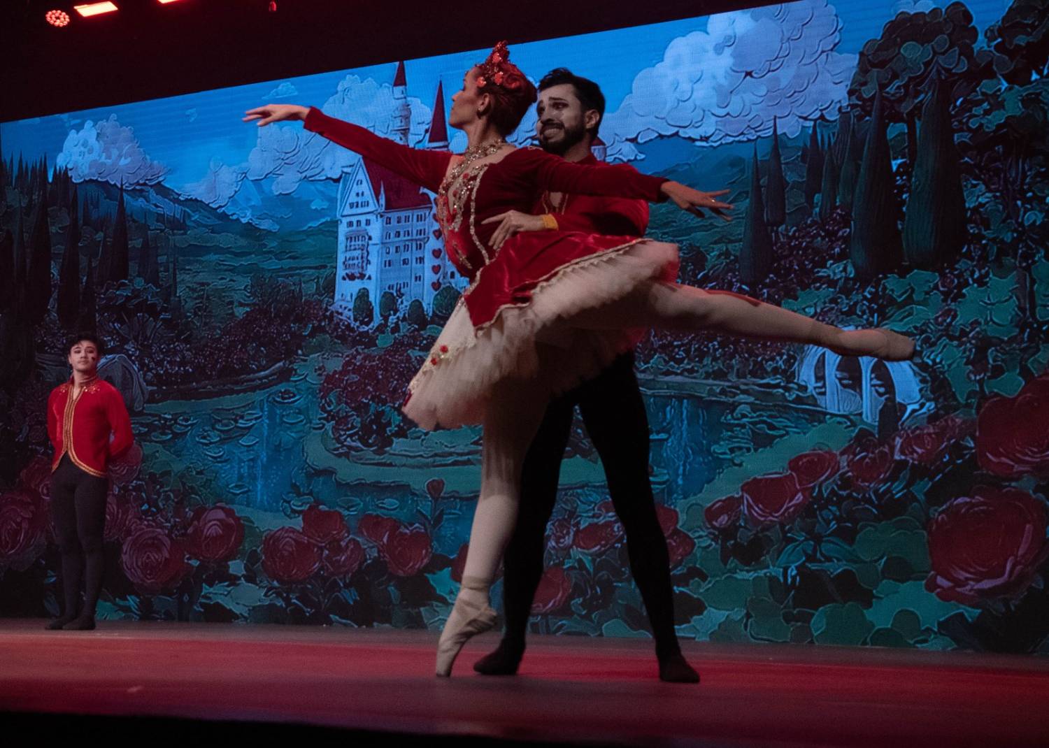 Alice no País das Maravilhas / 3ª Noite