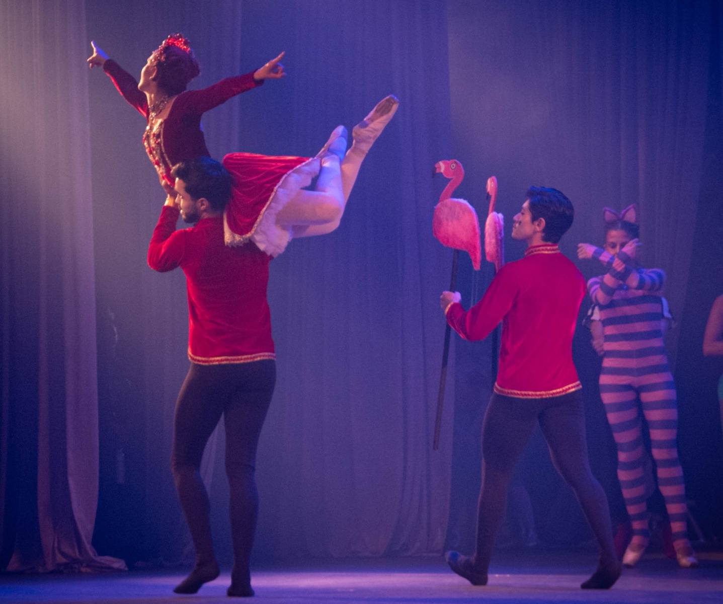 Alice no País das Maravilhas / 3ª Noite