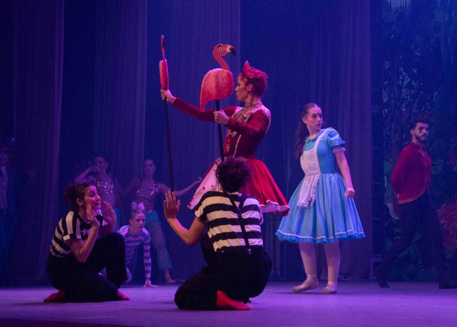 Alice no País das Maravilhas / 3ª Noite