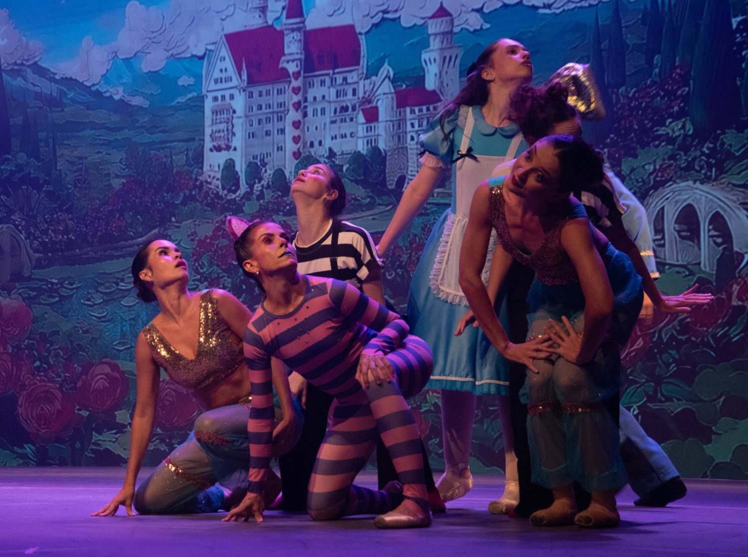 Alice no País das Maravilhas / 3ª Noite