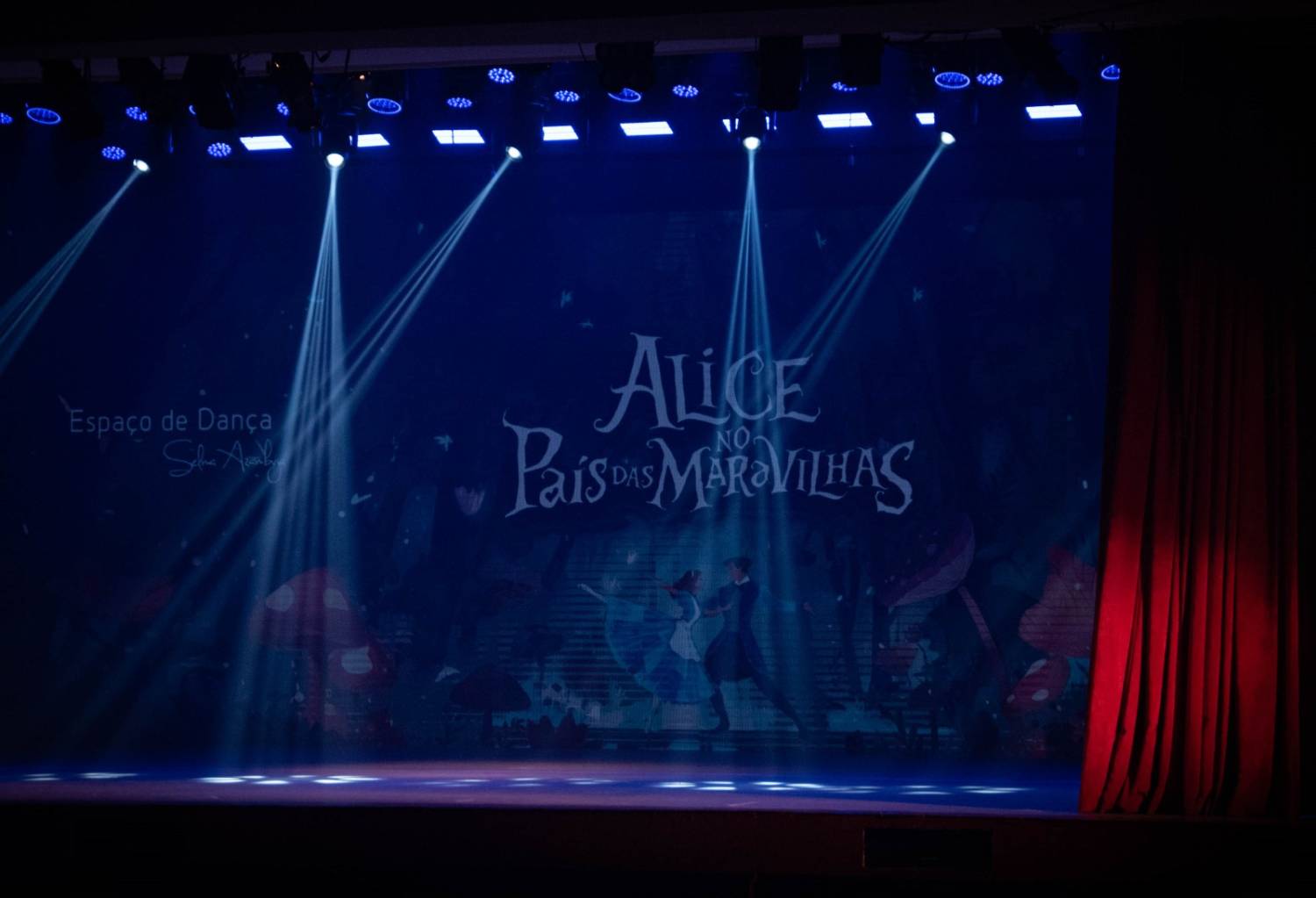 Alice no País das Maravilhas / 3ª Noite